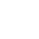Theme Icon