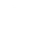 Theme Icon