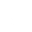 Theme Icon