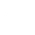 Theme Icon