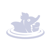 Ducky Dip