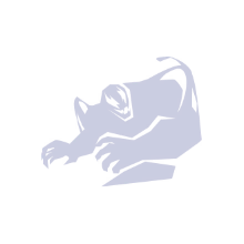 Default