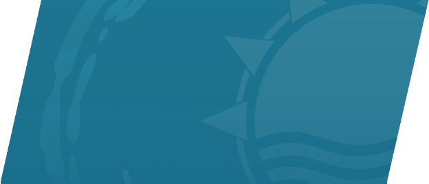 Mister Fantastic - Fantastic Beach Bod Background