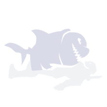 Shark Attack
