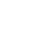 Theme Icon
