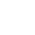 Theme Icon