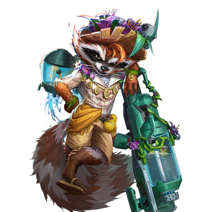 Sunshine Raccoon