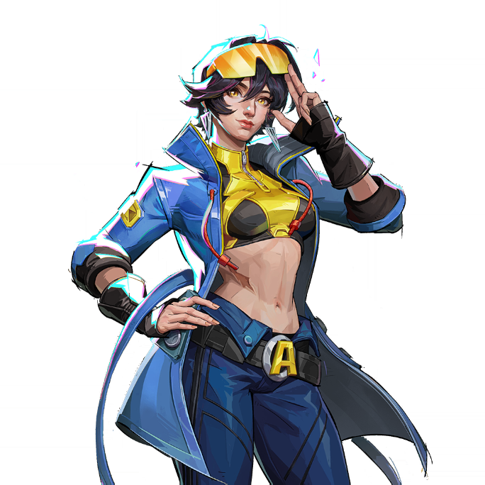 Item Preview