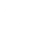 Theme Icon