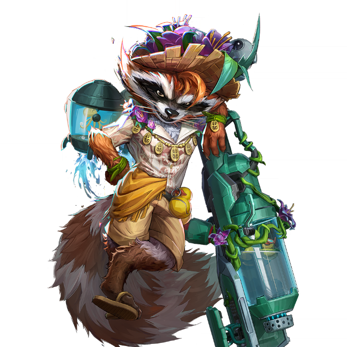 Sunshine Raccoon