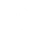 Theme Icon