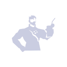 Item Preview