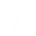 Formula R theme icon
