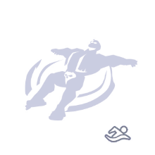 Item Preview
