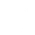 Theme Icon