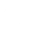 Theme Icon
