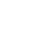 Theme Icon